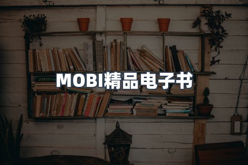PDF电子书系列